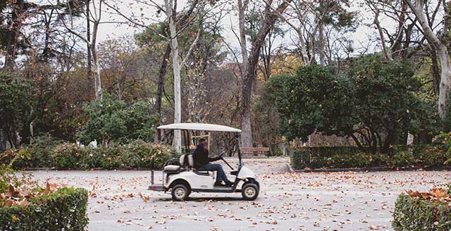 Ano ang Disenyo ng Sistema ng Kontrol ng Electric Golf Cart?