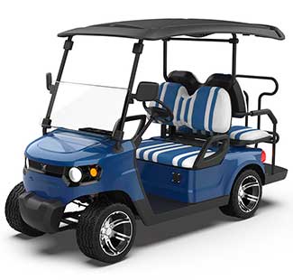 2 2 Seater Golf Cart