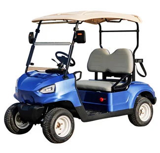 GC 2 Seater Electric Lifted Golf Cart